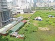 Thu hồi dự án và nguy cơ nhũng nhiễu